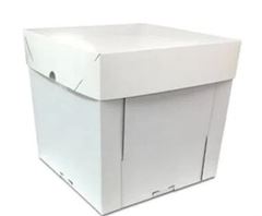 CAIXA CUBO 265X265X250 10X1