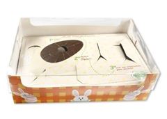 CAIXA ENCANTO KIT