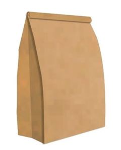 SACO ECO DELIVERY (M) ARTESANAL PCT/50