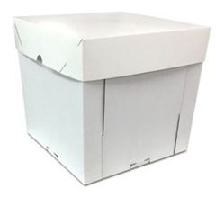 CX M. BOLO 100X120X100 10X1