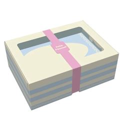 CAIXA PRACTICE C/ VISOR (500G) DELICATA