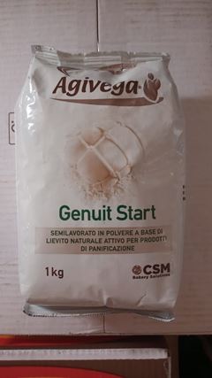 ADM GENUIT MELHORADOR MASSA MADRE 1KG