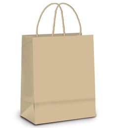 SACOLA ECO (G) KRAFT PCT/50