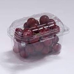 G-250GF CUMBUCA P/ FRUTAS 250G CX500UN