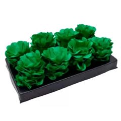FORM NSTYLE VERDE NEON 12X40
