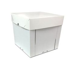 CAIXA ALTA 24 BRANCA 10X1