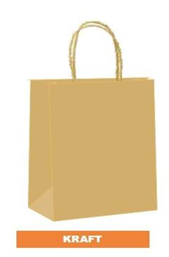 VINCO SACOLA KRAFT MINI S/IMPRESS C/25UN
