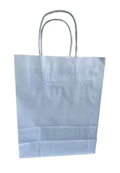 VINCO SACOLA BRANCA PP S/IMPRESSA C/25UN