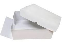 CAIXA TREVO B04/B03 10X1