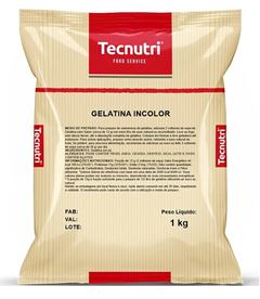 GELATINA SEM SABOR TECNUTRI SACHE 10 X 1 KG