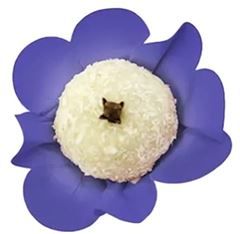 FORM STYLE VIOLETA 12X40