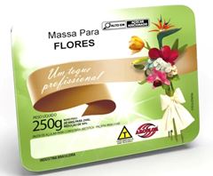 ARC MASSA P/FLORES ARCOLOR 250G